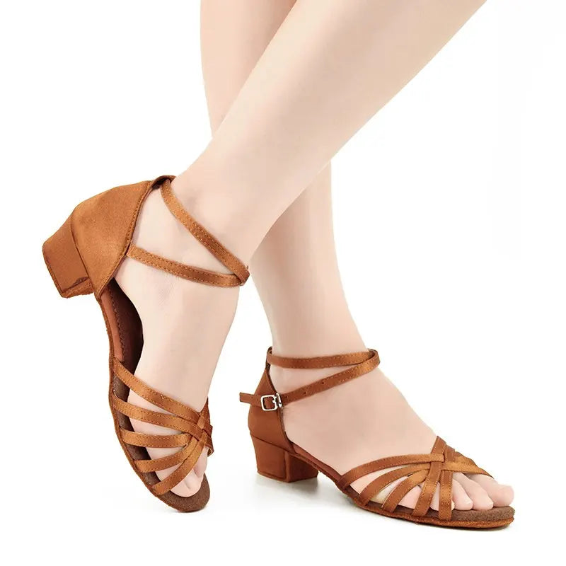 dancers
Girls Women Latin Shoes Low Heel Latino Salsa Modern Ballroom Shoes Tango Salsa Rumba Latin Dance Shoes