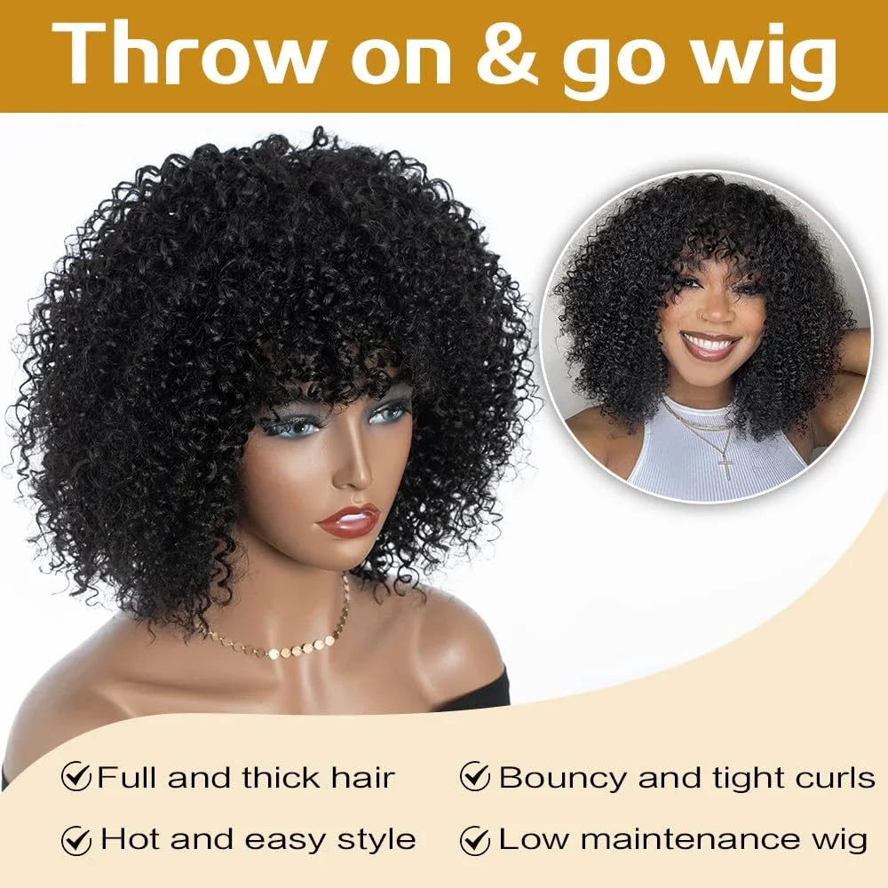Hair Extensions and Wigs
Jerry Curly Wig With Bangs 10A Brazilian Virgin Human Hair Glueless None Lace Front Wig Kinky Curly Human Hair For Black Women
