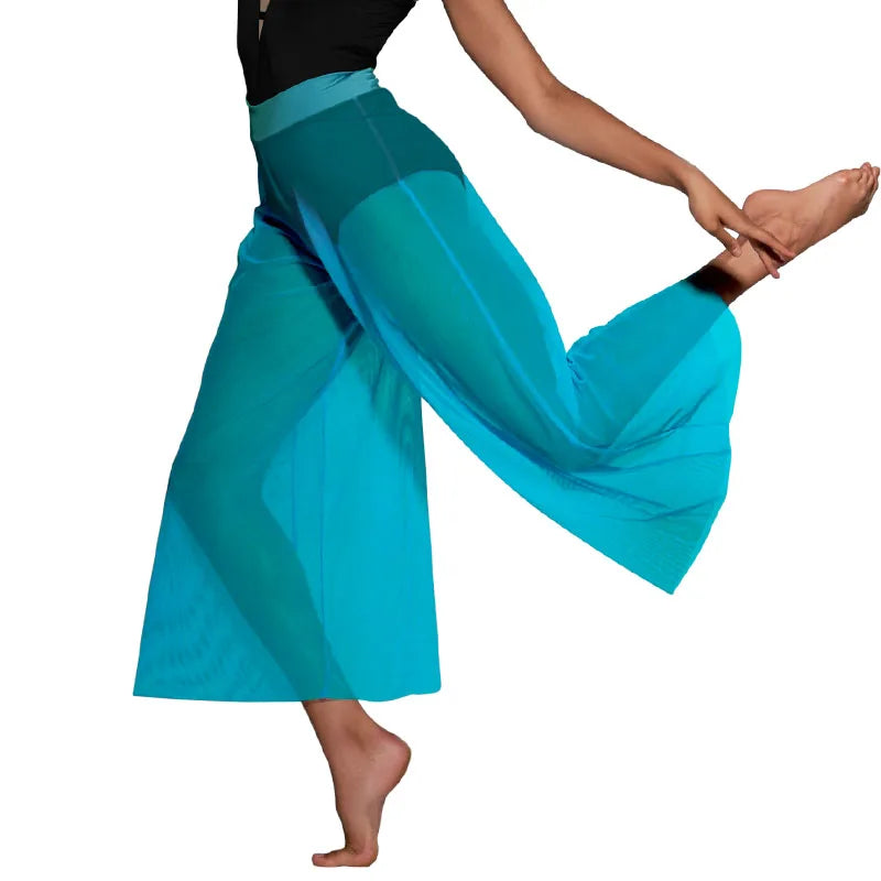 dancers
Mesh Dance Pants for Girls Women Modern Ballet Dance Match Outfit Underwear Contemporary Lyrical Long Wide Leg Dance Trousers
