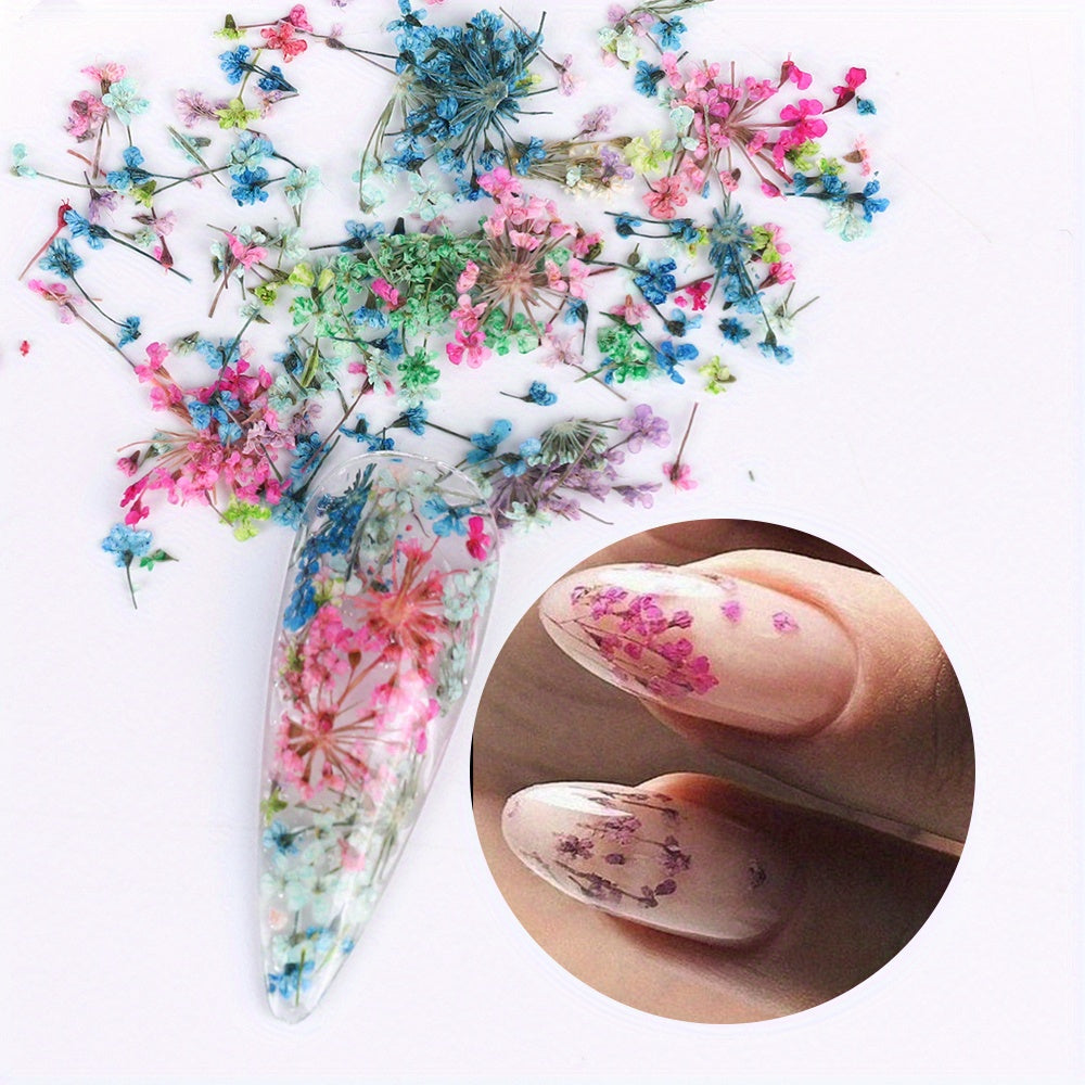 Nails
1 Box Mixed Dried Flower Nail Charms Mixed Lace Flowers Spring Summer DIY Stickers For DIY Crafts Nail Art Decoration Manicure