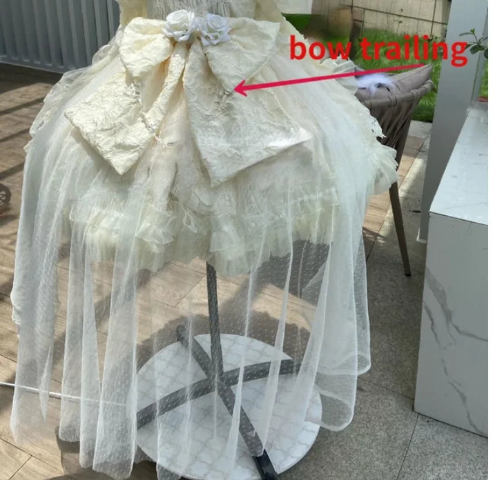 European Clothing
Japanese Sweets Lolita Jsk Dresses Kawaii Women Vintage Elegant Lace Mesh Princess Strap Dress Harajuku Lolita European Clothing